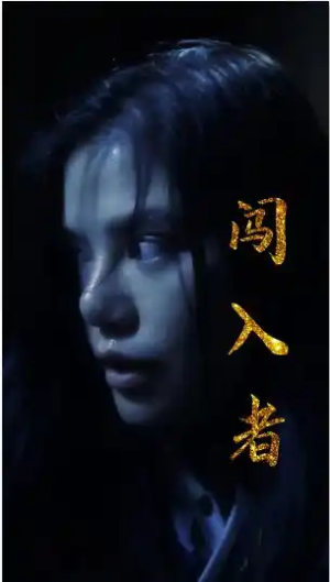 闯入者（51集）一口气看完