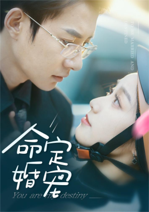 命定婚宠（61集）热播古装短剧