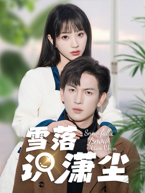 雪落识潇尘（80集）免费看