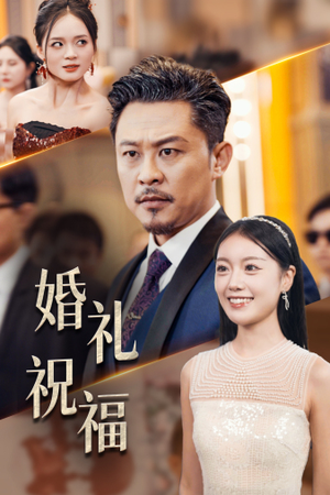 婚礼祝福（29集）1-102集