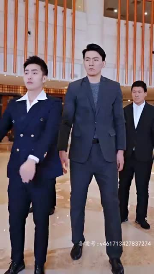 医武神婿（90集）免费看