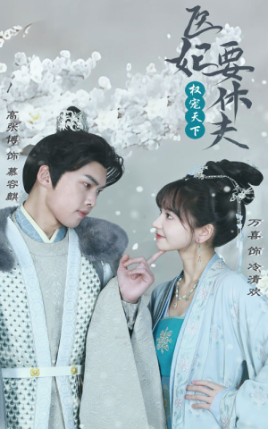 权宠天下：医妃要休夫（94集）红果免费短剧