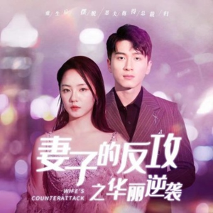 妻子的反攻之华丽逆袭（30集）免费短剧资源