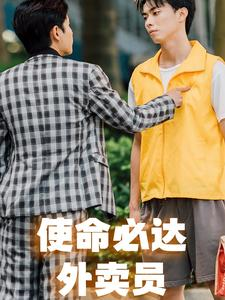 使命必达外卖员（31集）全集下载