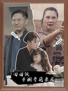 团圆饭手撕奇葩亲戚（40集）免费短剧合集
