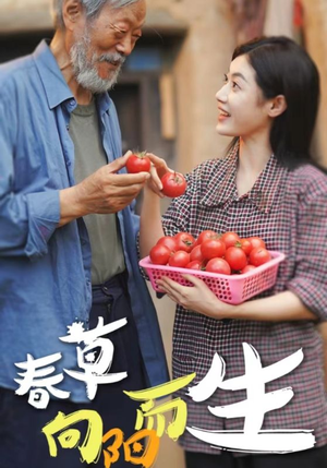春草向阳而生（53集）完整版免费观看