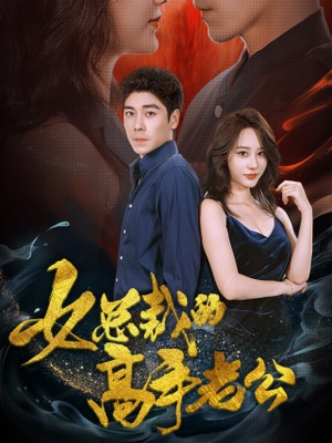 女总裁的高手老公（75集）海量短剧免费看