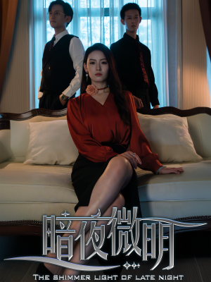 暗夜微明（70集）完整版免费观看