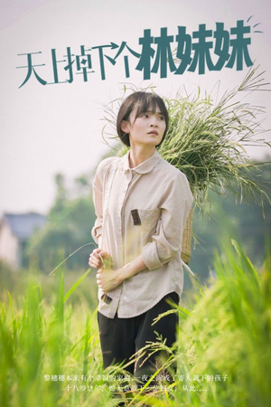 天上掉下个林妹妹（81集）河马免费短剧