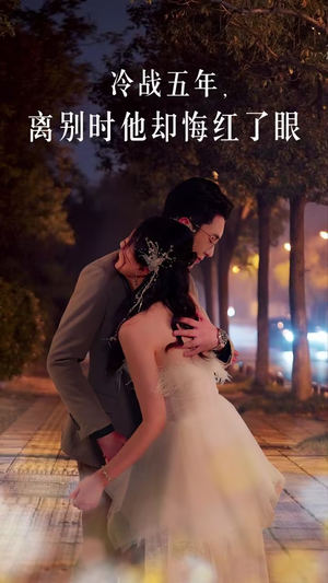 冷战五年离别时他却悔红了眼（60集）追风的女孩短剧