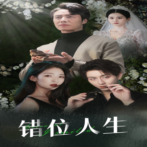 养大他人的儿子后我笑了（33集）穿越短剧推荐