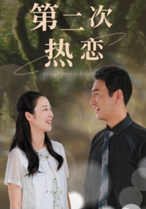 第二次热恋（48集）1-102集
