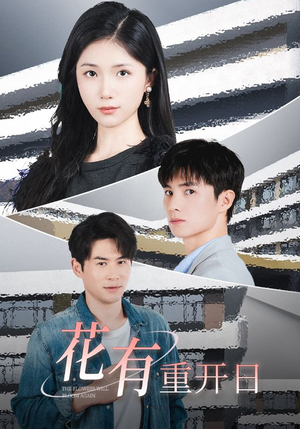 花有重开日（41集）全网独播免费看