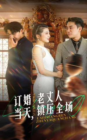 订婚当天，老丈人镇压全场（29集）第32集