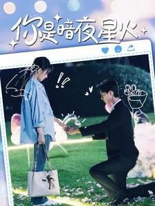 你是暗夜星火（120集）热播短剧免费看