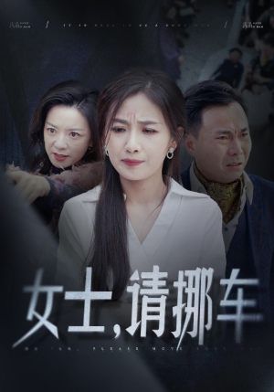 女士请挪车（29集）番茄短剧免费看
