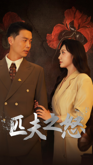 匹夫之怒（48集）高分佳作免费看