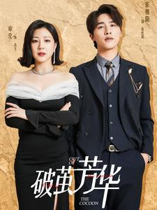 破茧芳华（80集）精彩短剧免费看