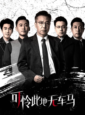 可怜此地无车马（30集）一共多少集