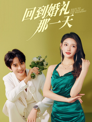 回到婚礼那一天（88集）全集下载