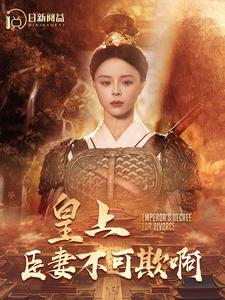 皇上臣妻不可欺啊（88集）免费看全集