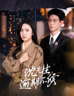 沈先生，逾期不候（75集）爆款热门短剧