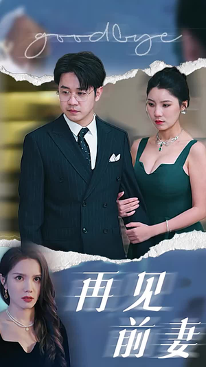 再见前妻（40集）解说