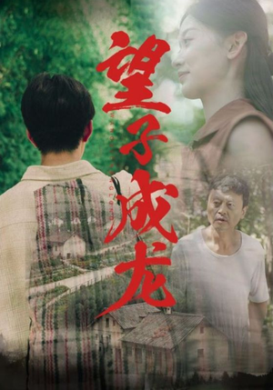望子成龙（74集）最火短剧热播中