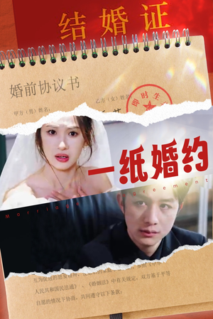 一纸婚约（90集）红果免费短剧