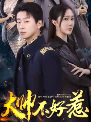 大帅不好惹（79集）好看到停不下来