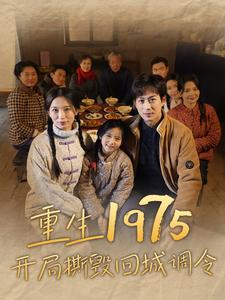 重生1975开局撕毁回城调令（83集）网盘在线观看