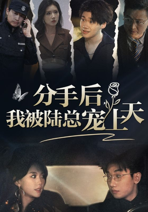 分手后，我被陆总宠上天（76集）短剧前十排行榜