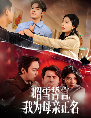 27.昭雪誓言我为母亲正名（60集）评价怎么样