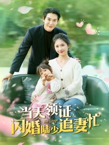 当天领证闪婚陆少追妻忙（80集）在哪里看