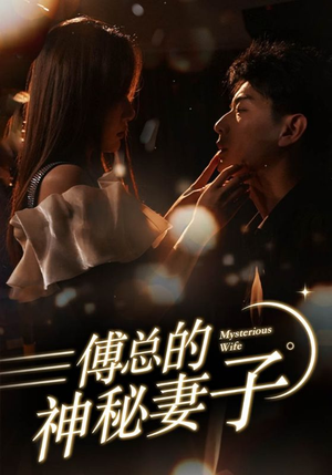 傅总的神秘妻子（100集）评价怎么样