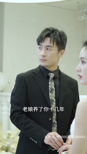 霍少的替身娇妻（90集）悬疑短剧推荐