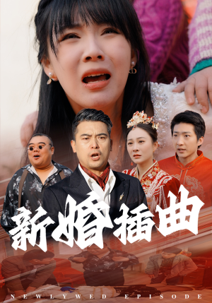 31.新婚插曲（29集）热门短剧推荐。