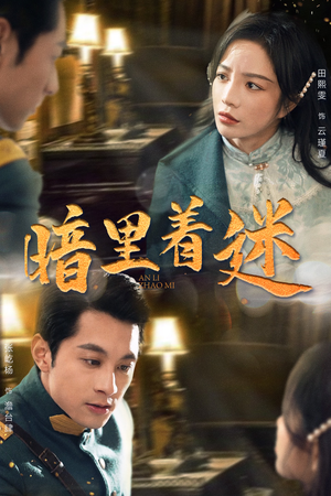 纵意招惹（97集）短剧免费观看