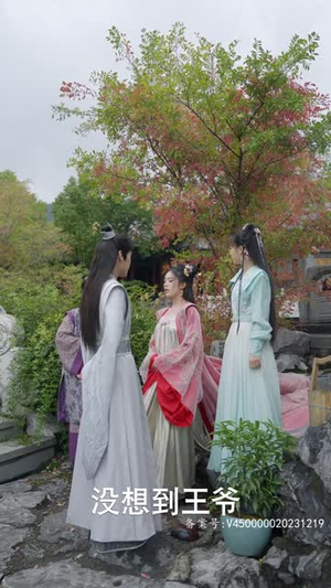 腹黑王爷的千金丫鬟（94集）免费看全集