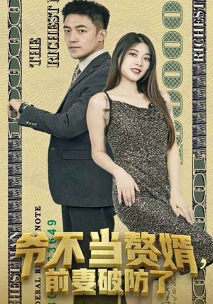 爷不当赘婿，前妻破防了（80集）上热门短剧