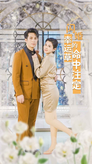 闪婚幸运草的命中注定（82集）哪个短剧网能看