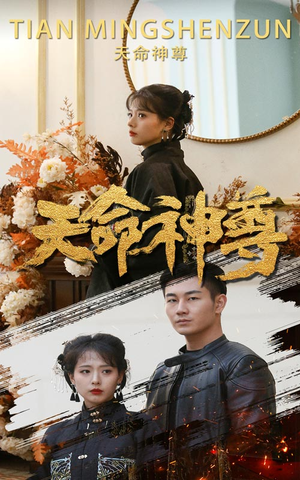 天命神尊（102集）好看的短剧