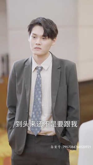 战凰（92集）口碑爆棚免费看