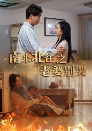 南来北往之老婆别哭（87集）深深爱上这部剧