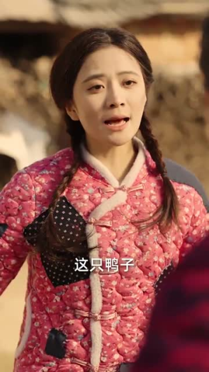 芳华七零（92集）最新上映免费看