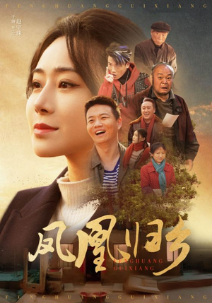 凤凰归乡（33集）免费看全网短剧