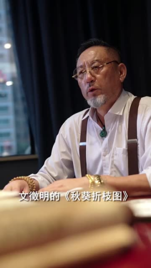 鉴宝龙婿（80集）一口气追完全集