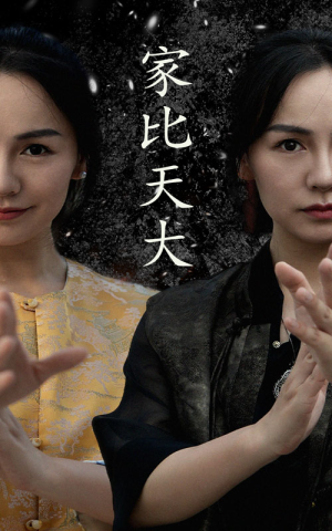 家比天大（63集）1-102集