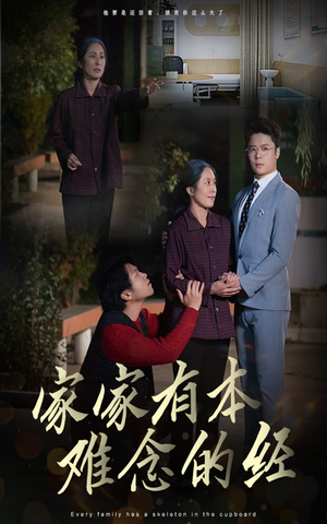 家家有本难念的经（34集）好看吗