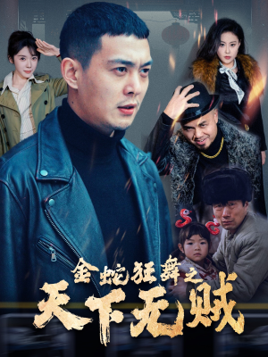 金蛇狂舞之天下无贼（52集）全集一网打尽